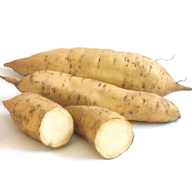 Yam / பிடி கருணை