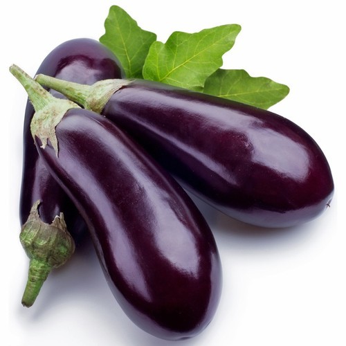 Brinjal / கத்திரிக்காய்