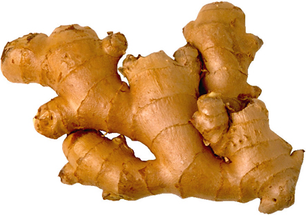 Ginger New / இஞ்சி