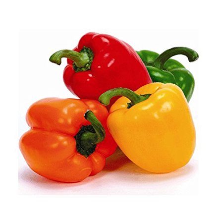Capsicum /  கொடைமிளகாய்