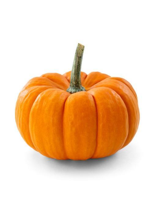 Pumpkin / பூசணி