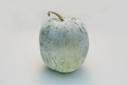ASH GOURD/சாம்பல் பூசணிக்காய்