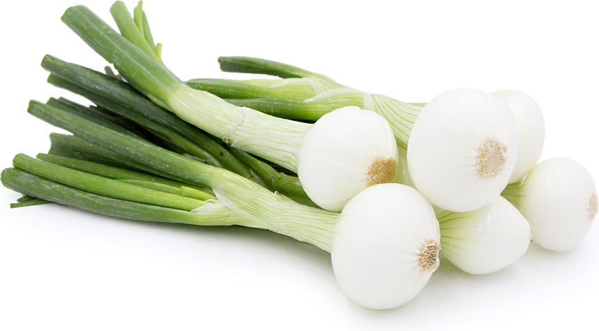 Spring Onion /வெங்காய தால்