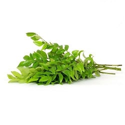 CURRY LEAVES / கறிவேப்பிலை