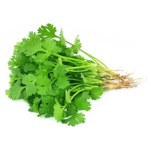CORIANDER LEAVES /கொத்தமல்லி தழை