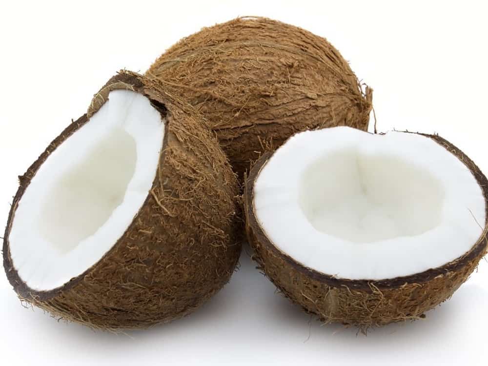 COCONUT/ தேங்காய்