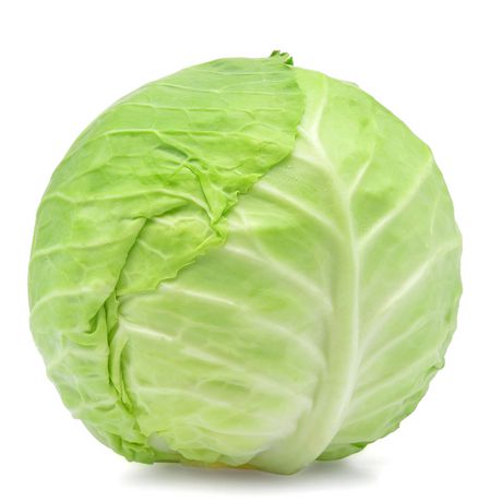Cabbage/முட்டைக்கோஸ்