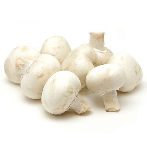 Mushroom / காளான்
