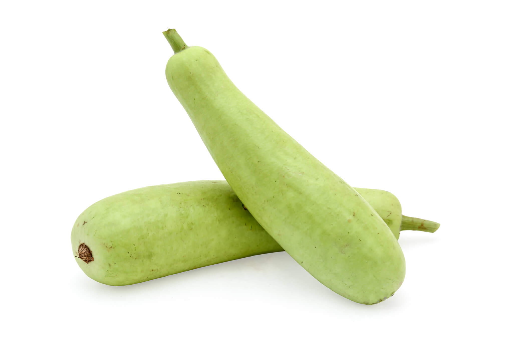 Bottle gourd / சுரைக்காய் 