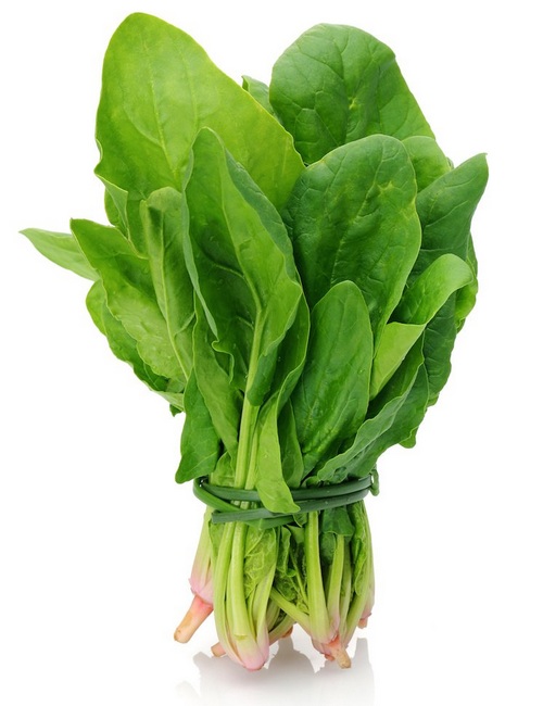SPINACH/ கீரை