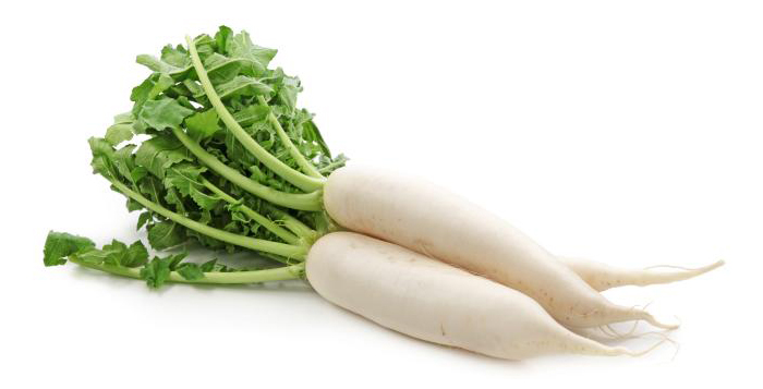 Radish / முள்ளங்கி