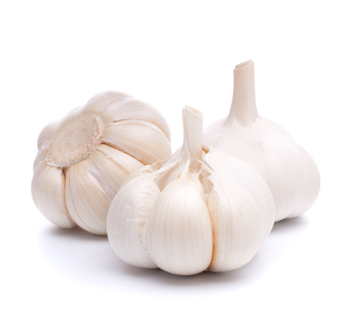 Garlic / பூண்டு 